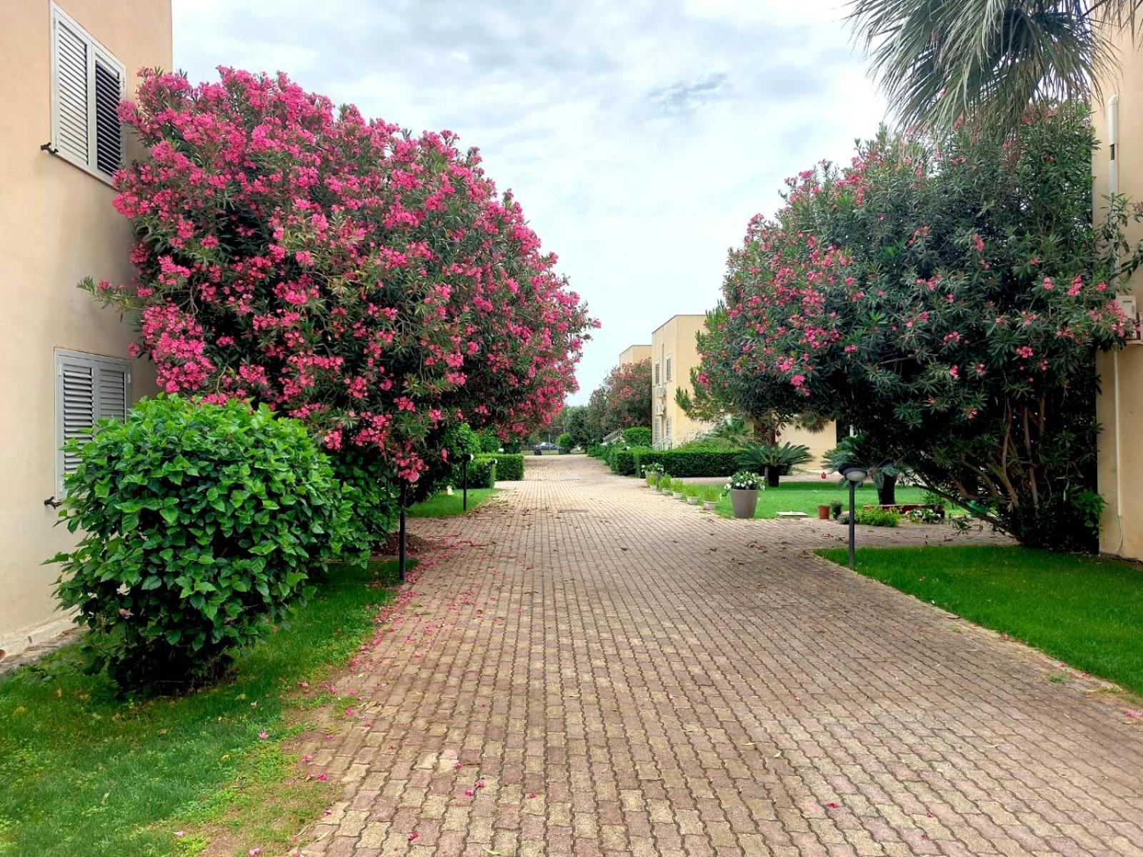 Giallomare Aparthotel Marzamemi Exterior foto